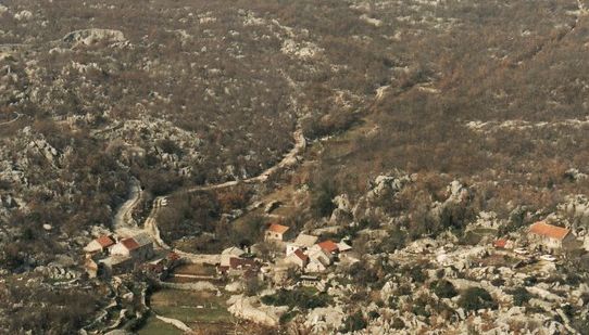 Brkulji
