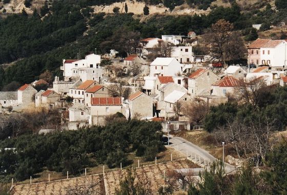 Šošići